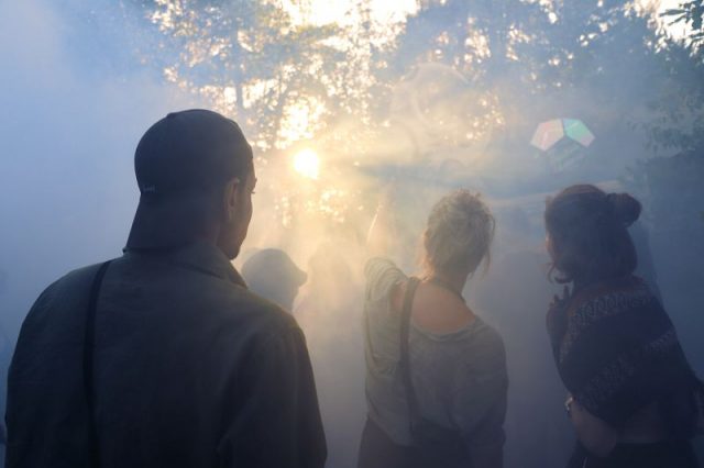 Wurzelfestival 2019